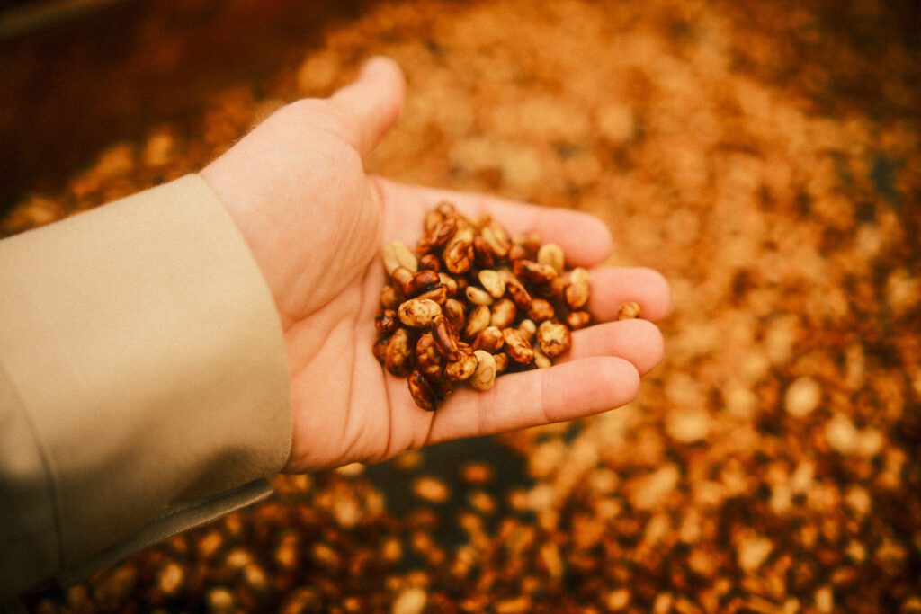 Honey processed coffee